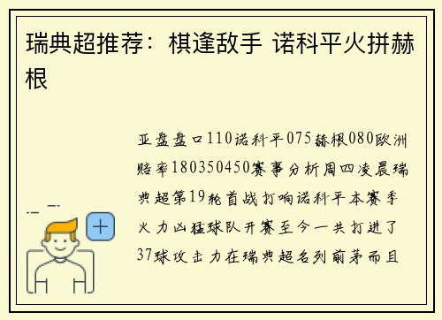 瑞典超推荐：棋逢敌手 诺科平火拼赫根